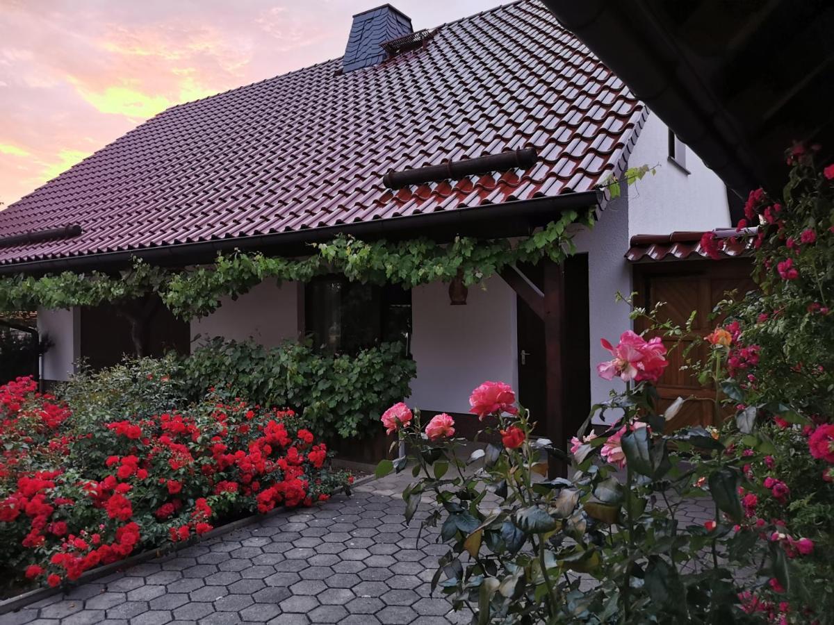 Ferienhaus Rosenhof Glaubitz Exterior foto