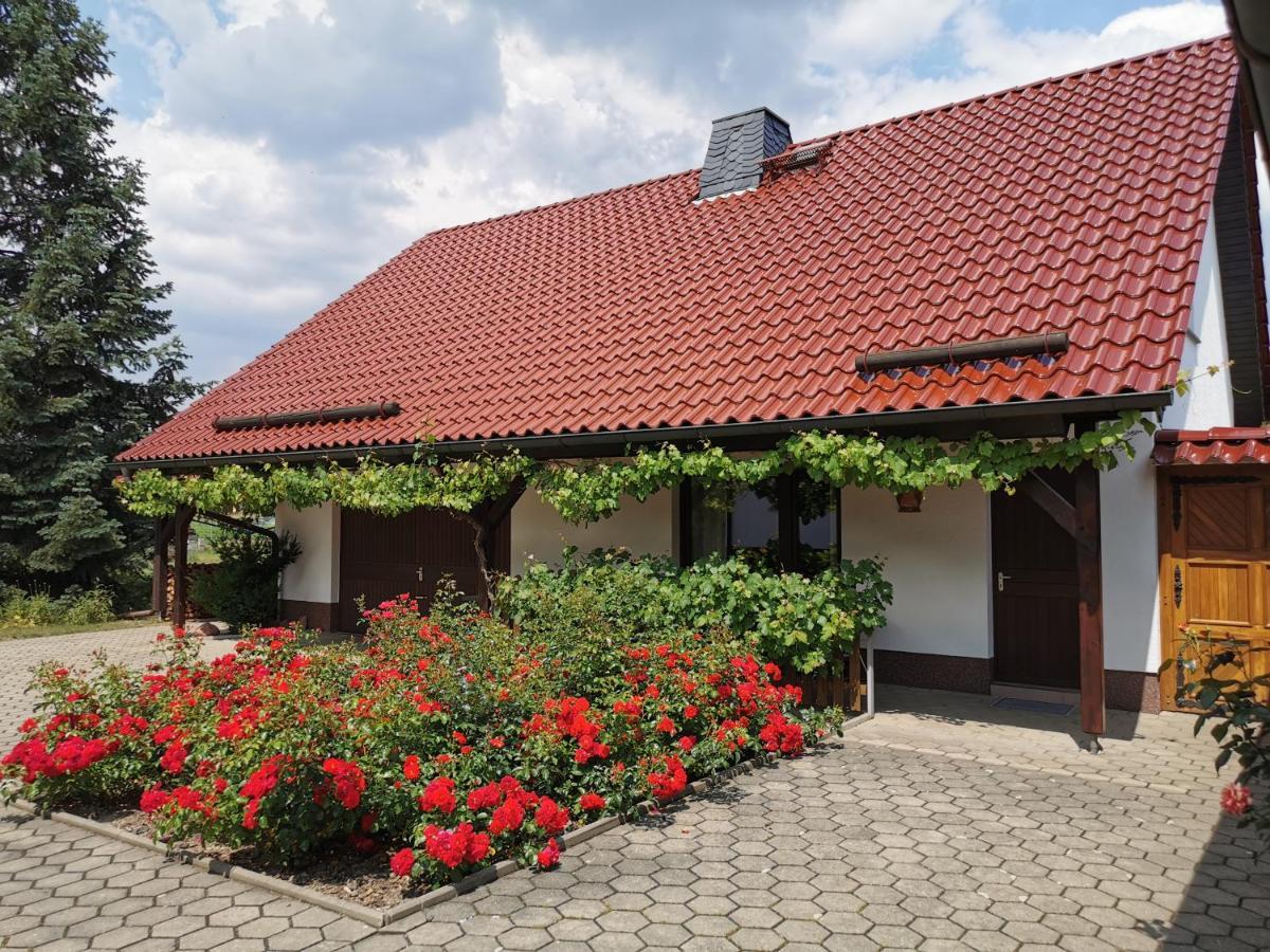 Ferienhaus Rosenhof Glaubitz Exterior foto